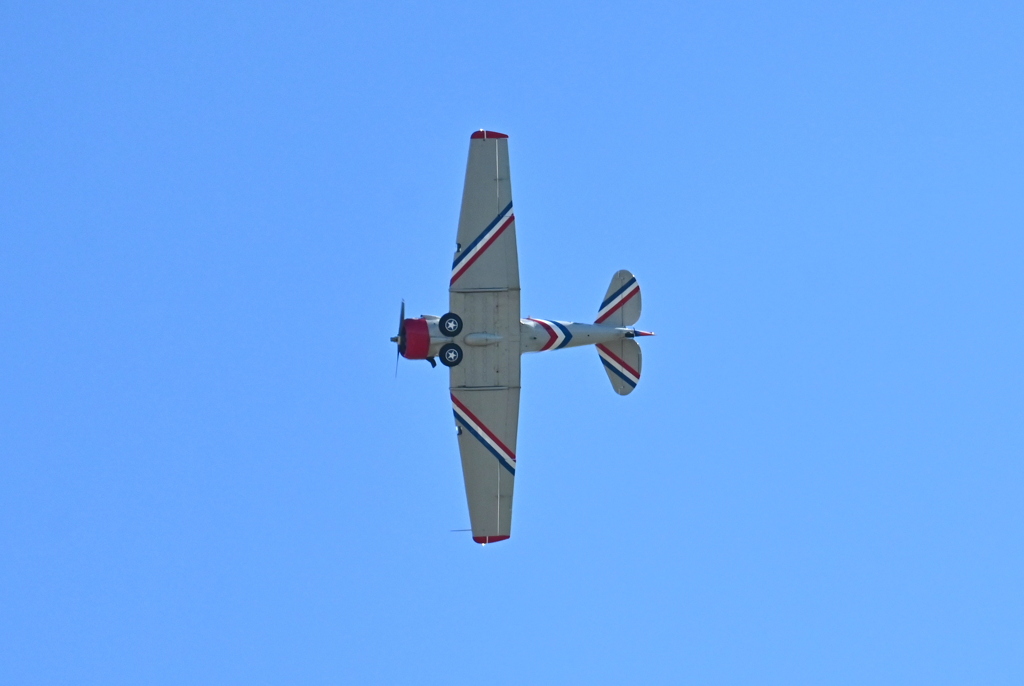 Warbird Thunder 09 10-31-25