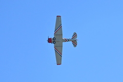 Warbird Thunder 09 10-31-25