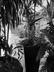 Used to be Breezeway 7-17-25