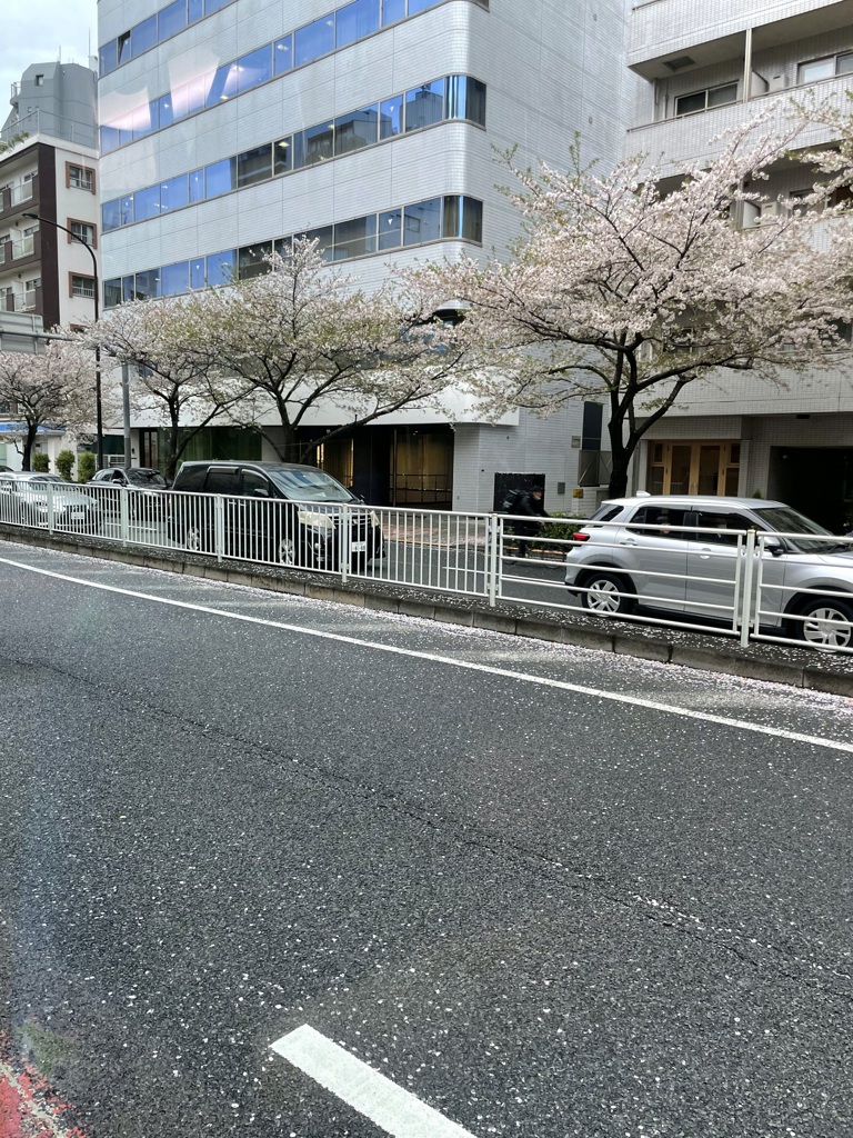 渋谷へ　2024-4-9