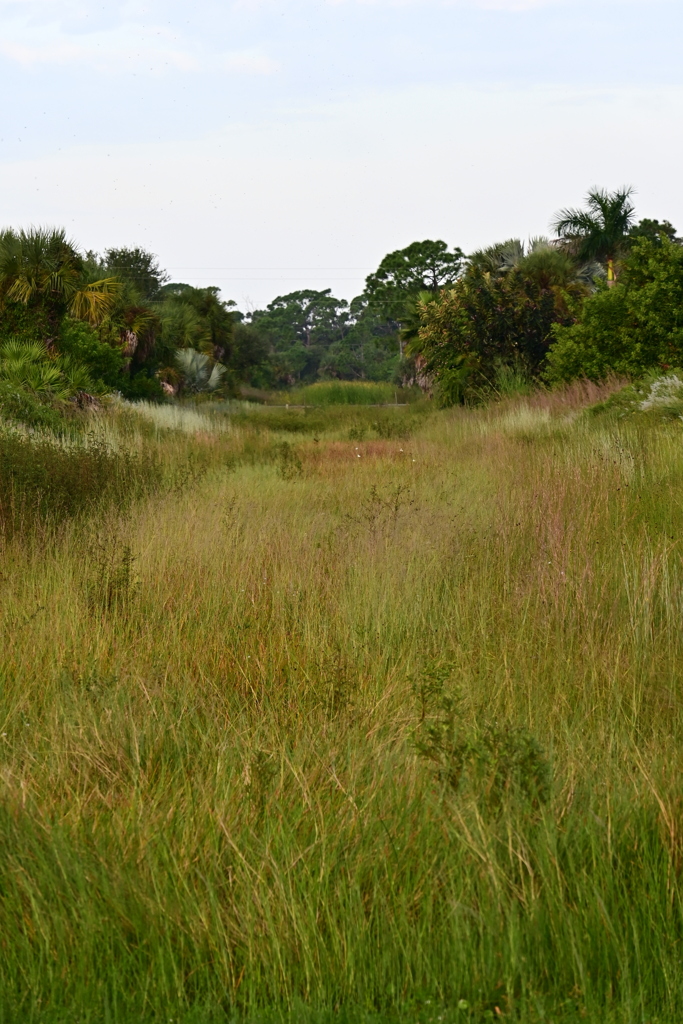 Still Florida 10-2-25