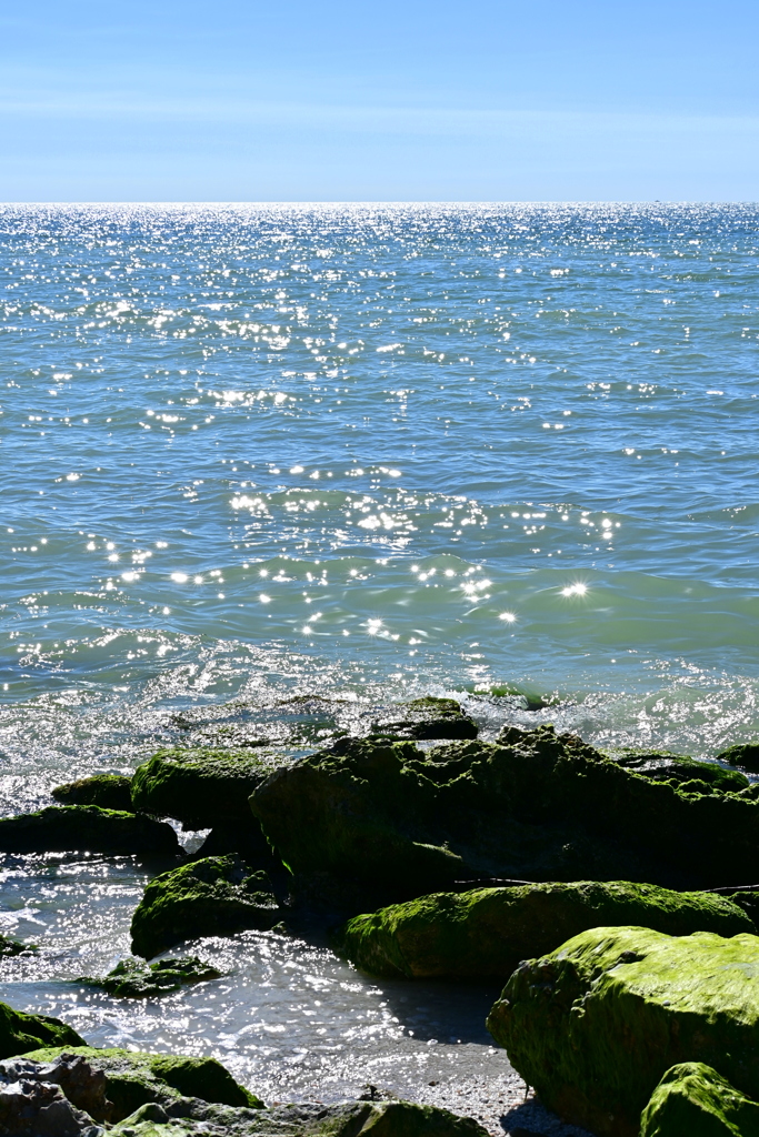 Shimmering 11-26-24