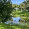 Larry Taylor Kiwanis Park　7-8-25
