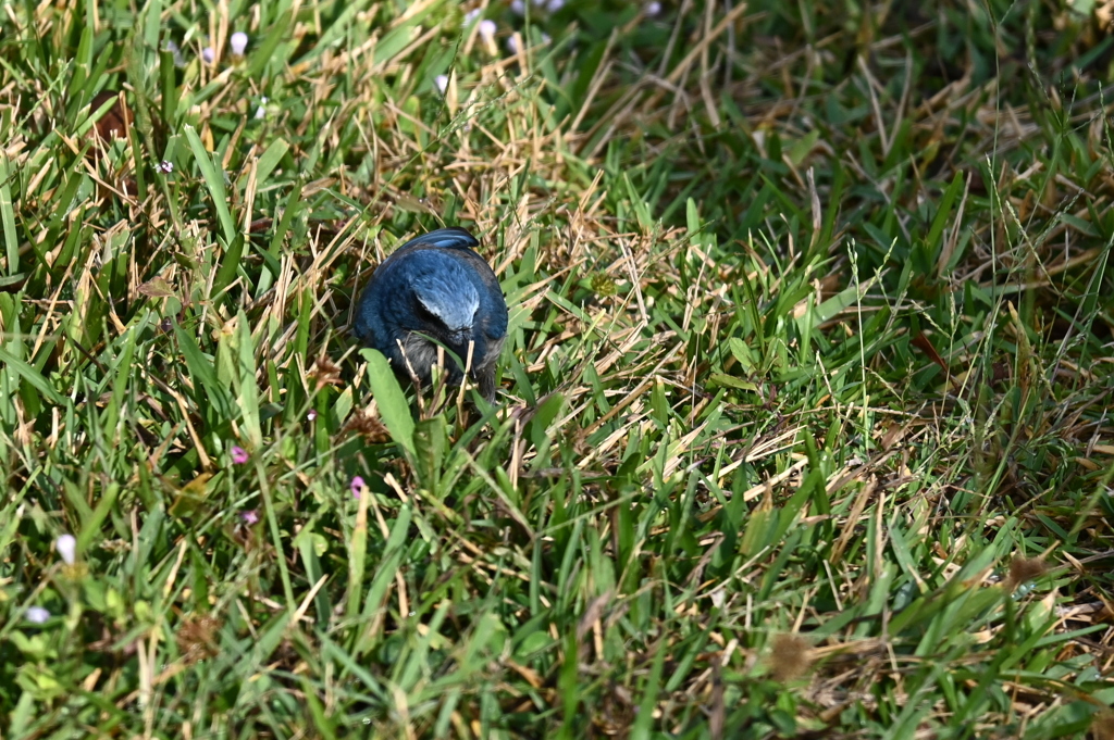 Hiding Spot 11-6-24