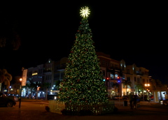 Punta Gorda Christmas Tree II 12-7-21