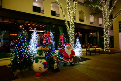 Christmas in Naples 12-19-24