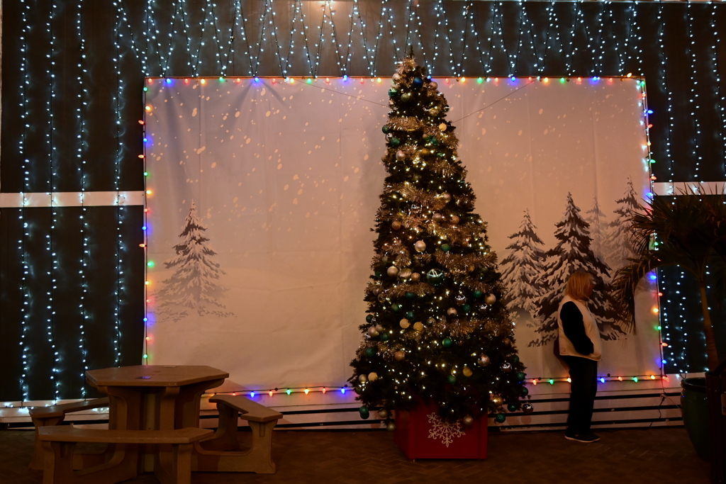 Snow Scene 12-12-24