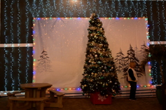 Snow Scene 12-12-24