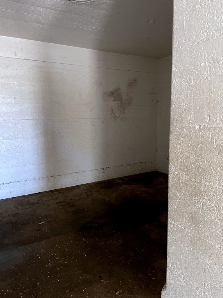Fort De Soto 3-26-25