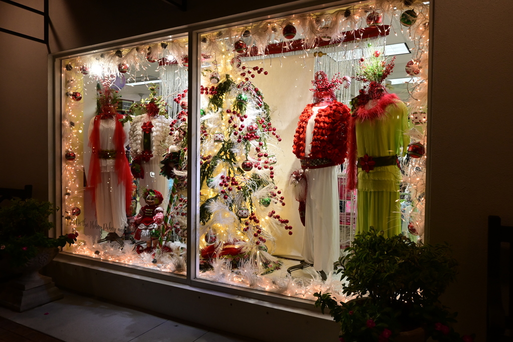 Christmas Display 12-19-24