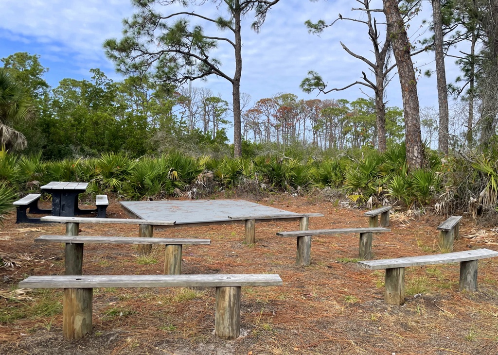 森のステージ　12-2-25