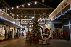 Santa and the Tree 12-12-24