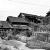 132 郷地区 2024-4-17