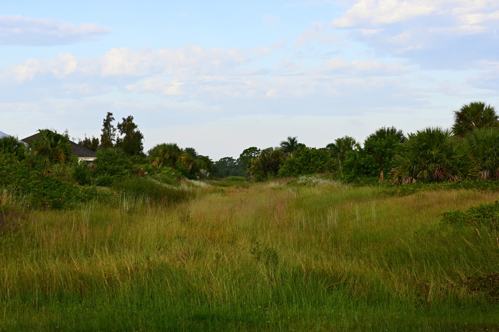 Morning Walk 10-2-25