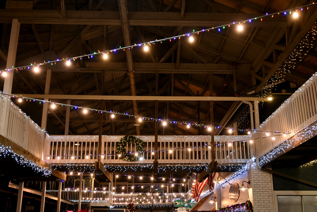 The Lights 12-12-24