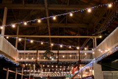 The Lights 12-12-24