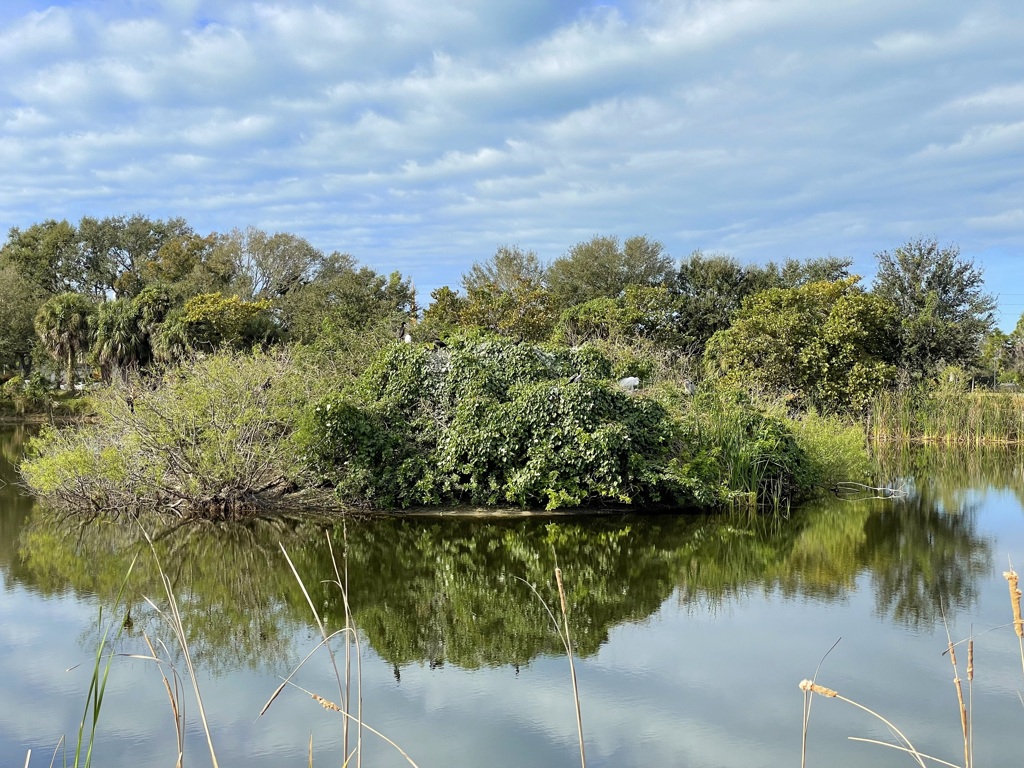 Getting Warmer 1-30-26