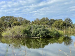 Getting Warmer 1-30-26