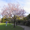 桜を撮る人　2024-4-13