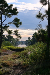 In the Morning 9-27-25