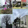 麻布山善福寺　2024-3-29