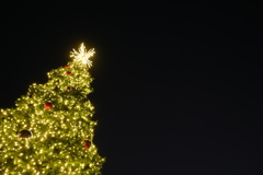 Looking Up 12-12-24