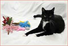 年賀状ボツ写真　12-30-25