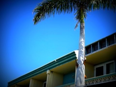Punta Gorda Waterfront Hotel 3-12-24