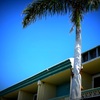 Punta Gorda Waterfront Hotel 3-12-24