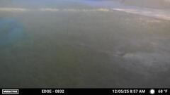 あさもやの鳥　12-5-25