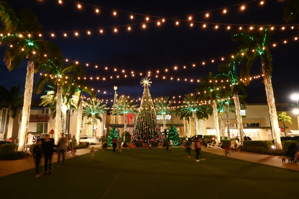 思い思いの夕　11-27-25