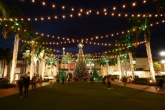 思い思いの夕　11-27-25