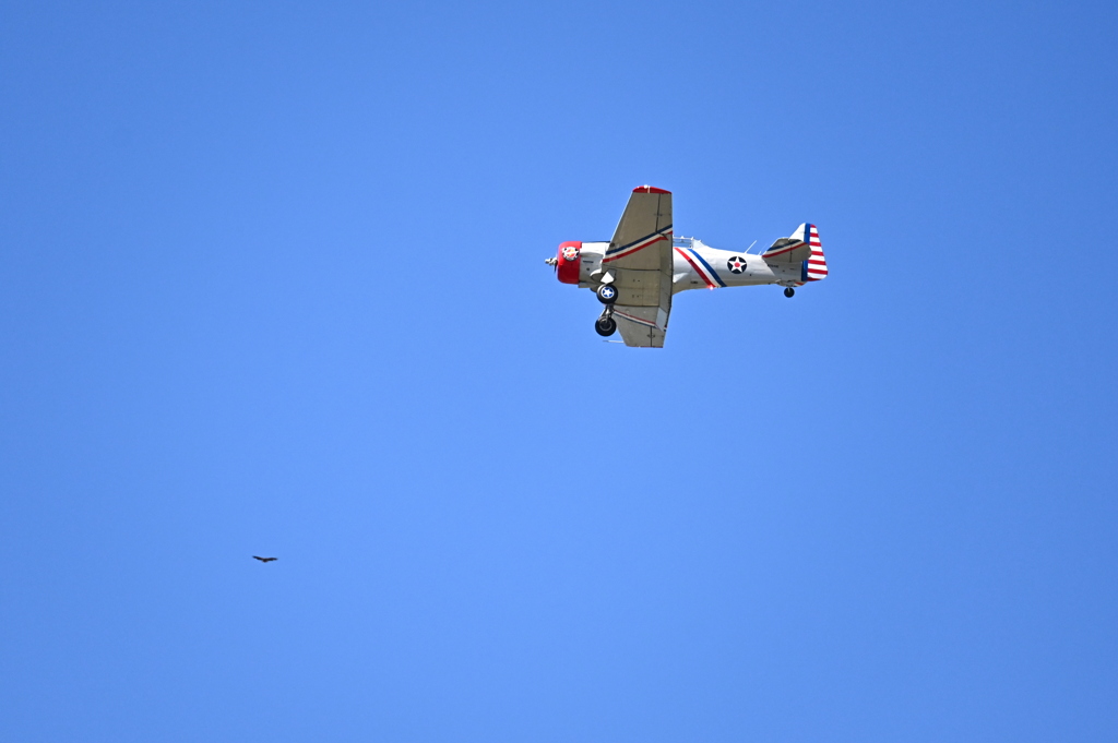 Warbird Thunder 14 SNJ-3 10-31-25