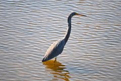 背伸び　11-18-25