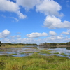 The River 1-2-23