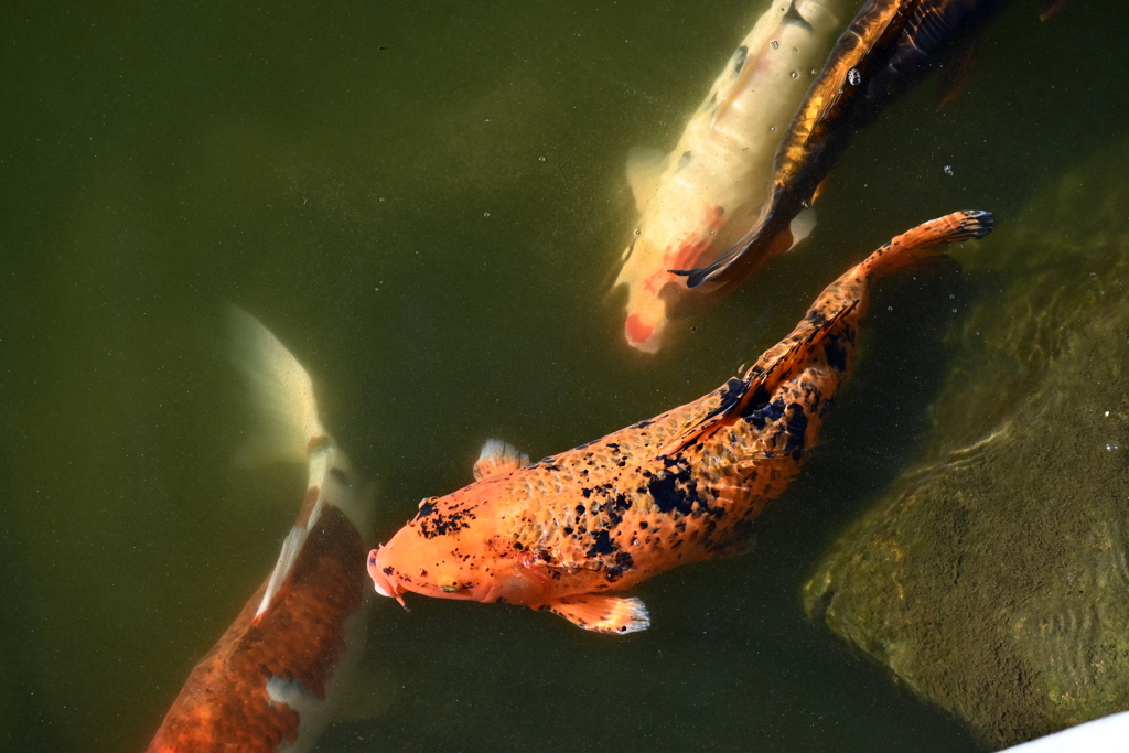 存在感　12-16-25