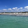 Seaweed Problem 4-15-23