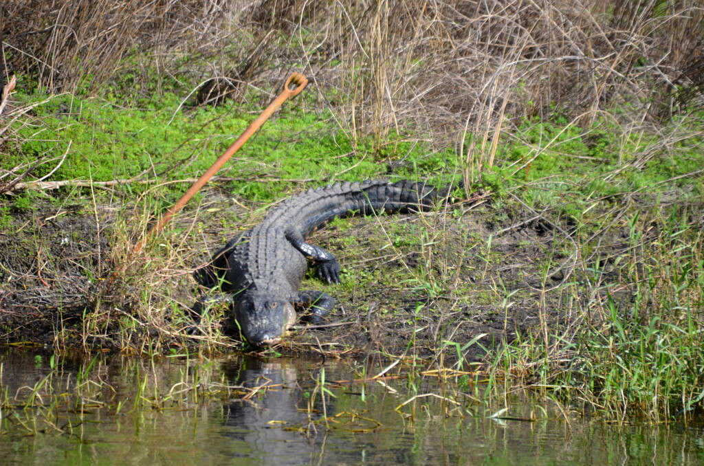 On the Bank　1-2-23