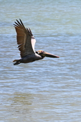 Flight 3-26-25