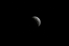 0150 Smaller 3-14-25