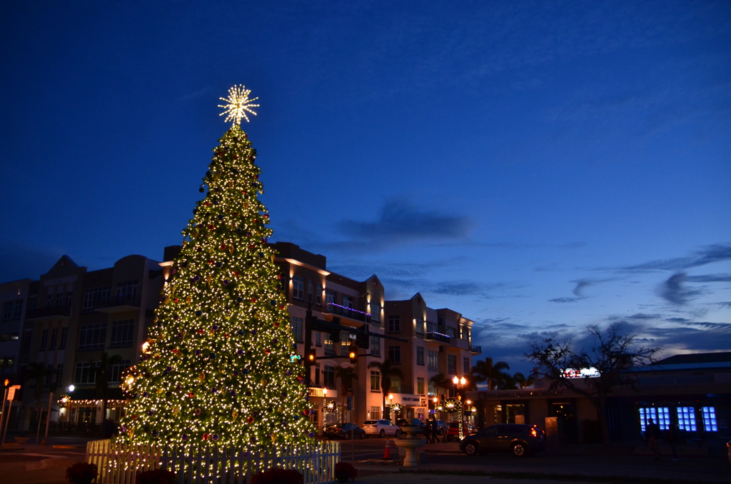 Punta Gorda Christmas Tree II 12723 by KLimeGreen （ID：12149947） 写真