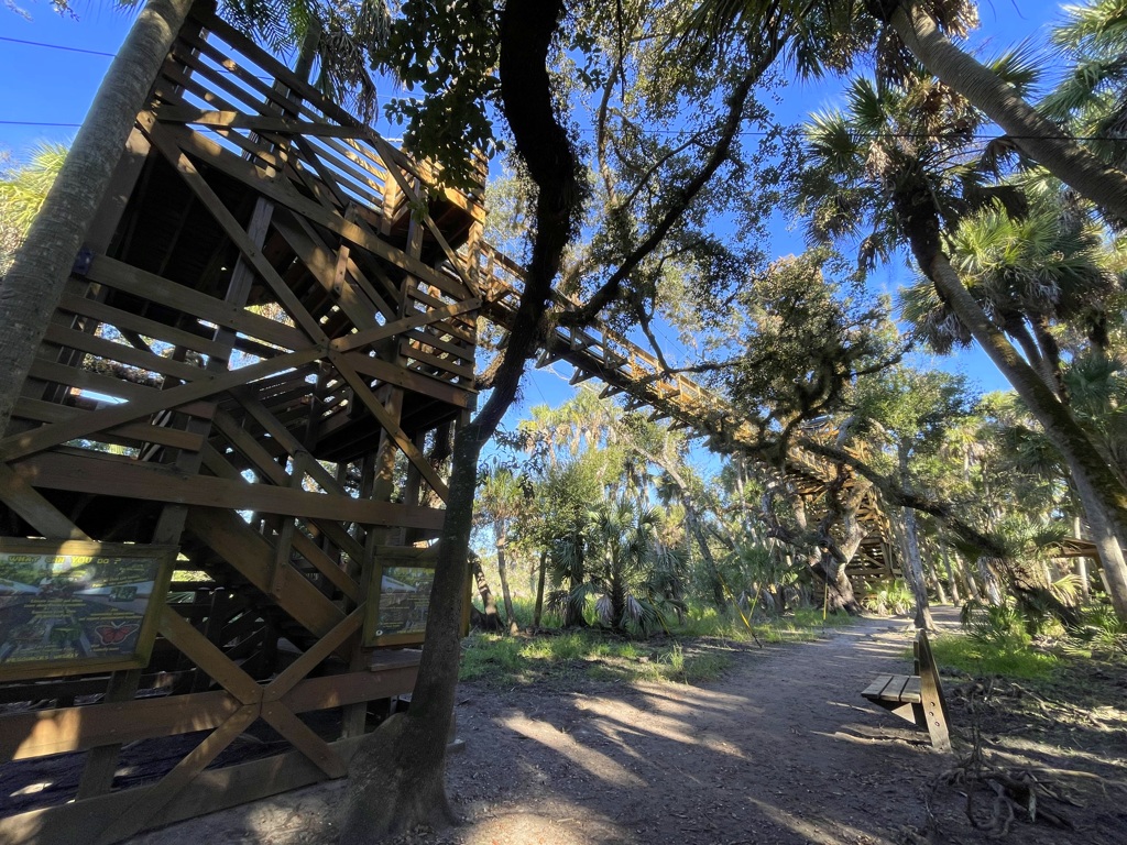 Canopy Walkway 10-15-25