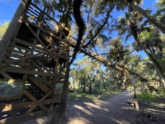 Canopy Walkway 10-15-25