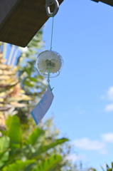 花ふうりん　12-16-25