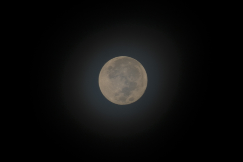 Blue Moon I 8-31-23