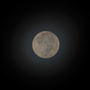 Blue Moon I 8-31-23