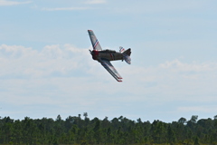 Warbird Thunder #1 23  11-2-25