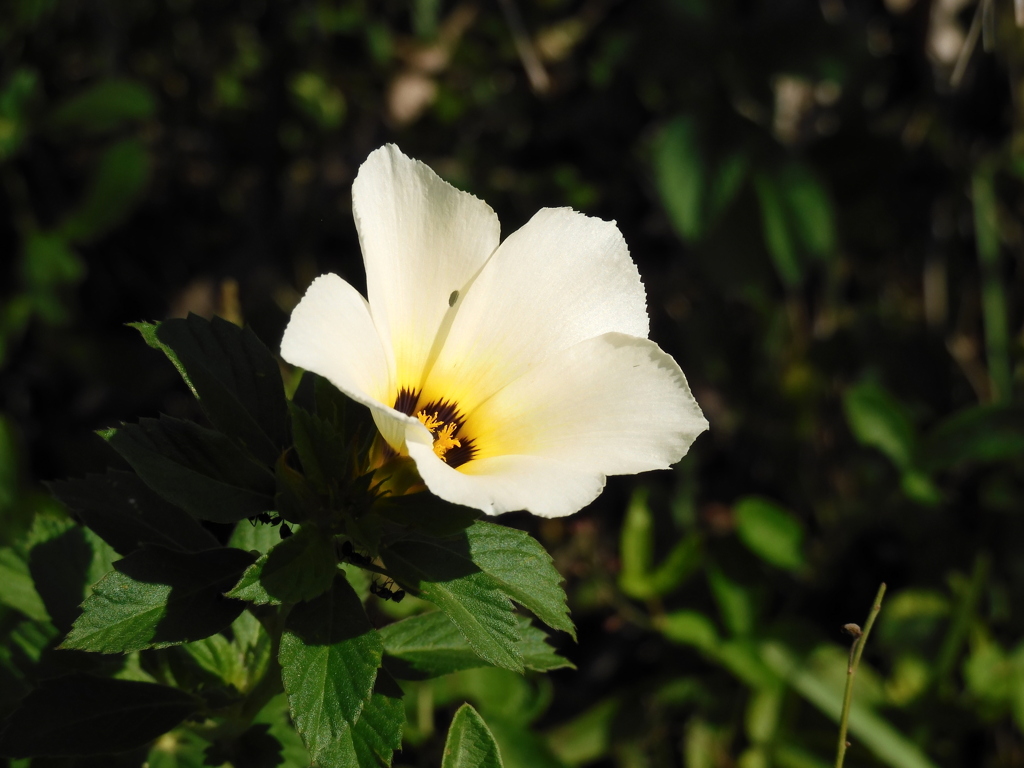 In the Sun 9-2-23