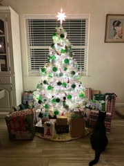 サンタさん来た 12-24-25