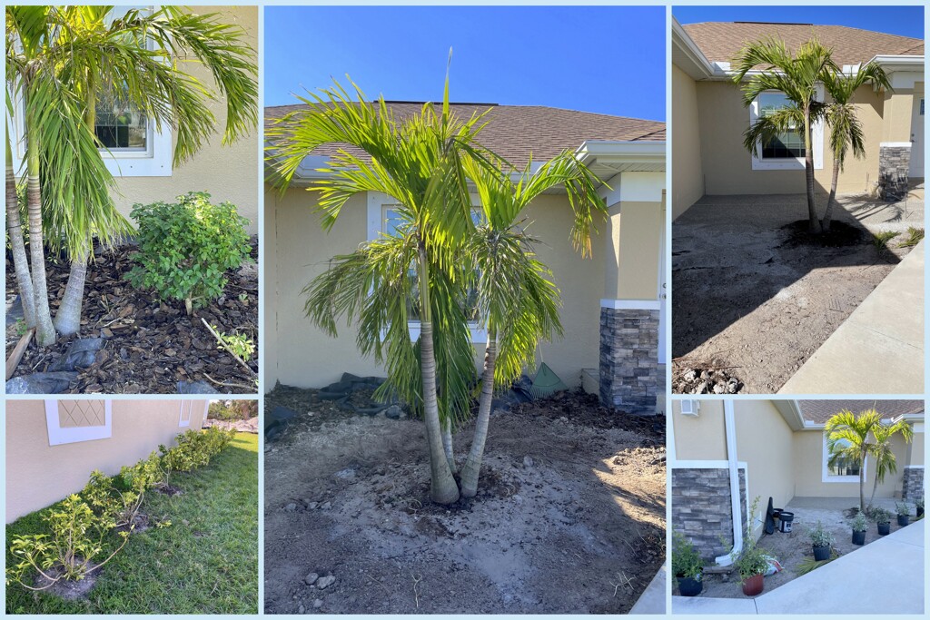 Patio Project January to February 2023